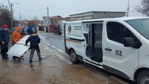 Mașina hingherilor, distrusă de o iubitoare de animale, în Slatina