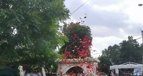 Galerie foto - poza 3