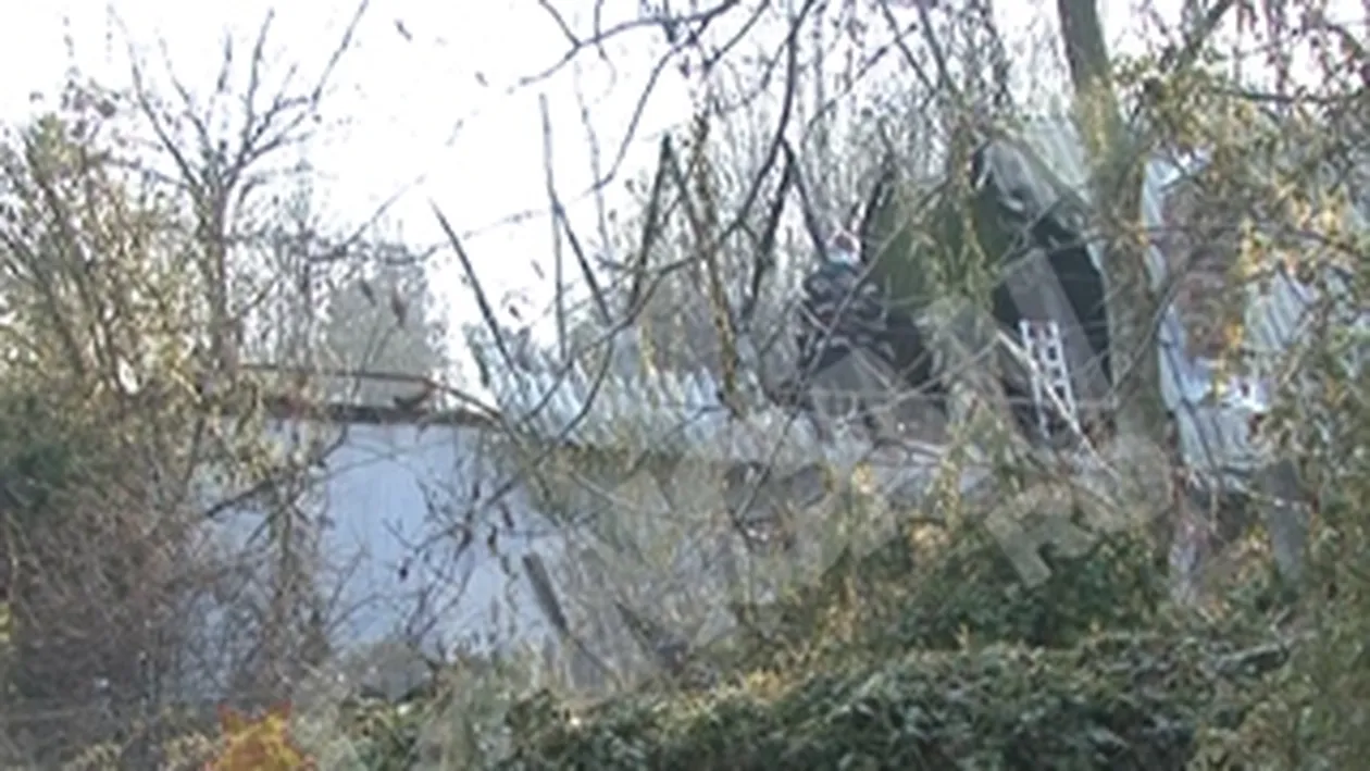 Fiul lui Plesita a murit carbonizat