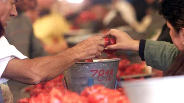 Criza E.coli care a speriat România: isteria castraveților de acum 15 ani, când nimeni nu mai îndrăznea să mănânce legume crude