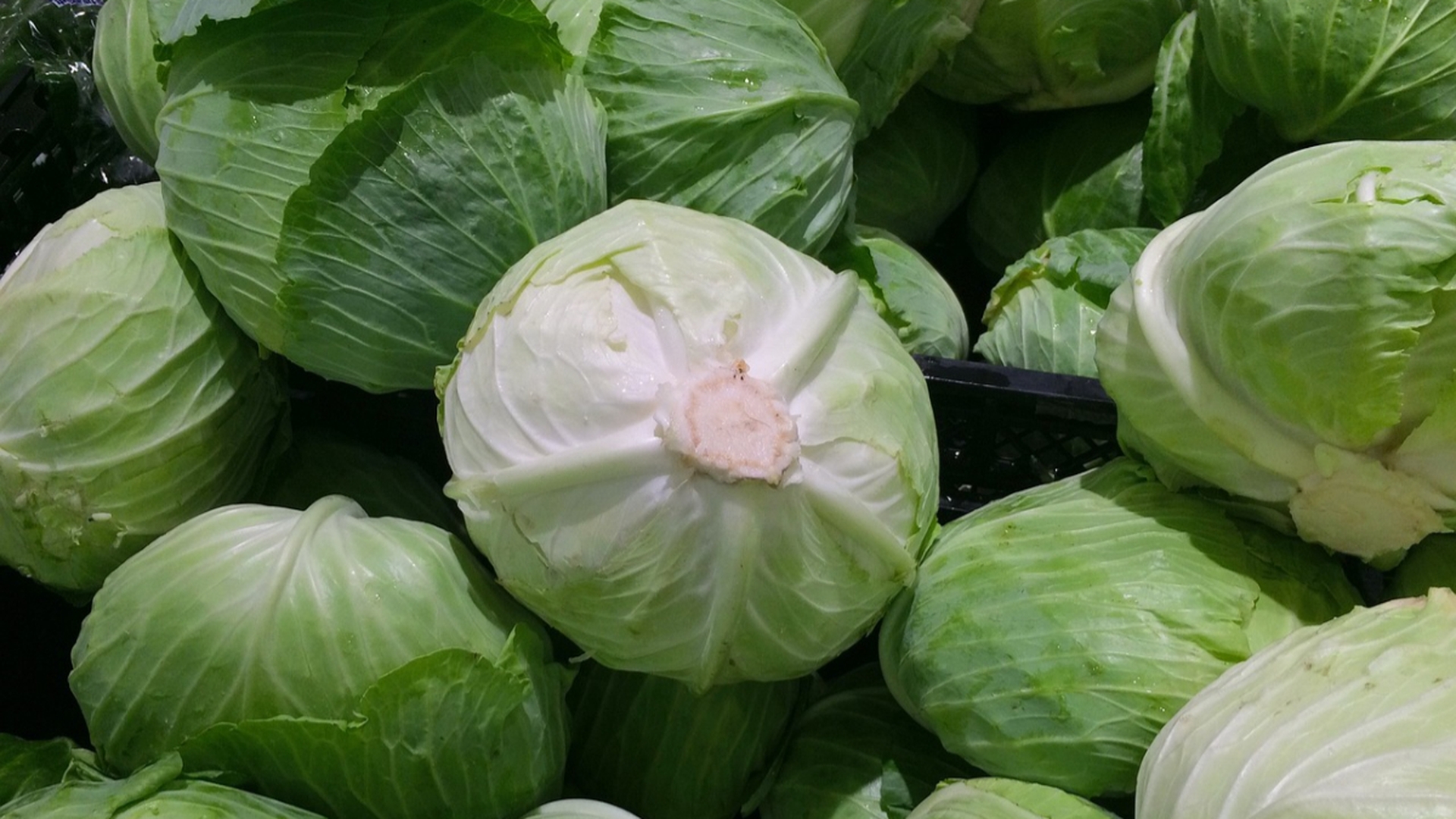 Cât a ajuns să coste 1 kg de varză la piață. Românii cu venituri mici își vor lua adio de la cea murată iarna asta