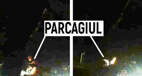 Galerie foto - poza 2