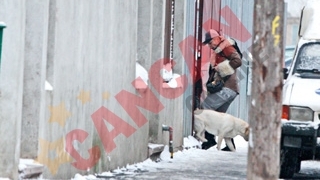 Labradorul i-a stricat buna dispozitie Loredanei