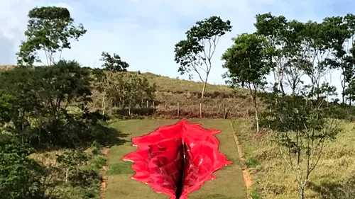 O sculptură imensă în formă de vagin a iscat un adevărat război cultural în Brazilia