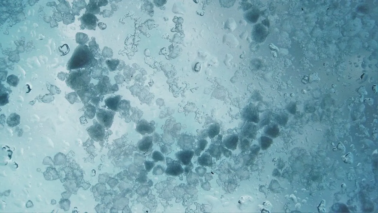 Imagini de neconceput. Un drum din județul Alba a fost acoperit complet cu gheață. FOTO