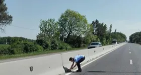 Galerie foto - poza 1