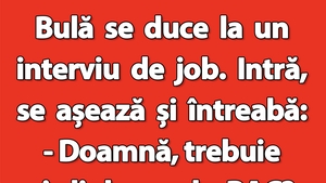 BANC | Bulă, interviul de job și diploma de BAC