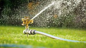 Care este ora perfectă pentru a uda grădina. Așa nu ți se strică plantele