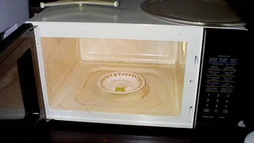 Sigur nu te asteptai la asta! Ce se intampla daca bagi un bob de strugure in cuptorul cu microunde