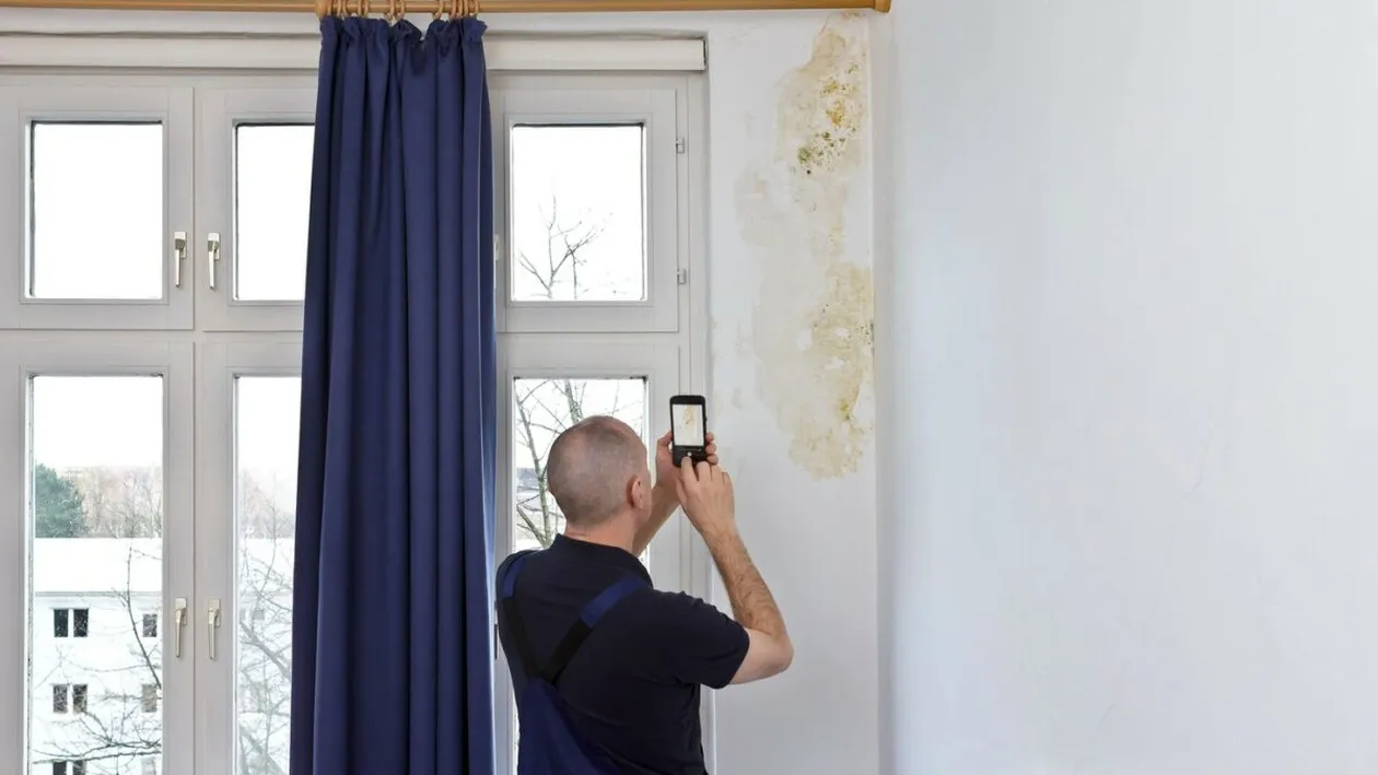 Cum scapi de mucegaiul din casă. Soluția care funcționează tot timpul