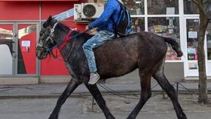Gest INCREDIBIL! Un tânăr a plecat călare pe cal la maternitatea din Iași, grăbit că iubita lui naște