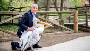 A devenit cel mai bun prieten cu un pelican! Vezi despre cine este vorba! 