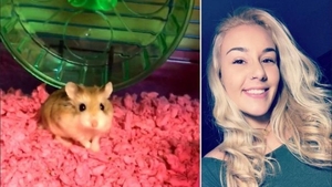 O femeie a fost obligată de o companie aeriană să-şi arunce hamsterul la toaletă, înainte de a se urca în avion!