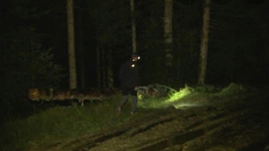 Minoră inconștientă găsită la marginea pădurii. Ce a putut să facă tatăl fetei