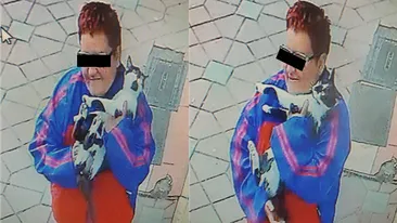 Angajații unui cabinet veterinar din Iași au cerut ajutorul pe Facebook: “Această doamnă a luat un motan, nu știm ce intenții a avut”