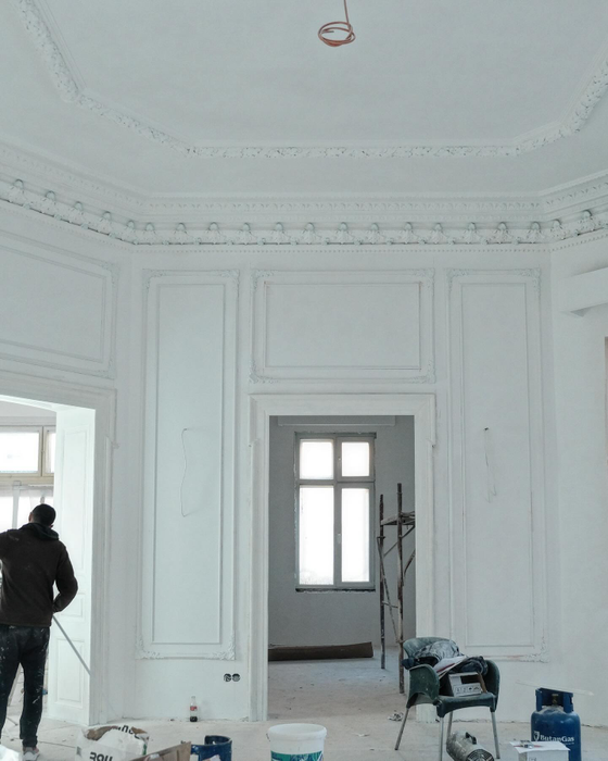 Cum arată casa ca un conac a Anei Baniciu? Are perne Hermes și finisaje deosebite