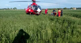 Galerie foto - poza 3