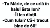 BANC | „Tu Mărie, de ce urlă, în halul ăsta, Ion?”