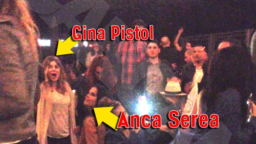 Fetele nu mai vor sus pe bar, urca direct pe mese. Mereu scortoase, Anca Serea, Gina Pistol si Daiana Anghel s-au dat in stamba!