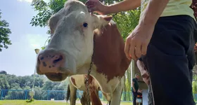 Galerie foto - poza 1