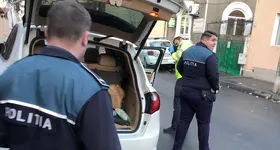 Galerie foto - poza 2