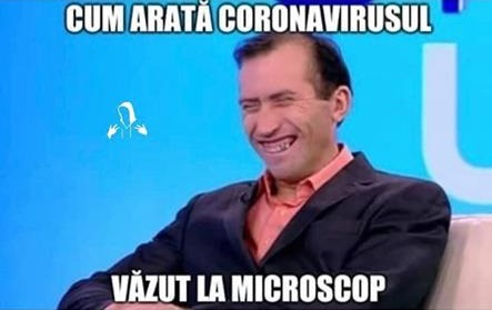 TOP cele mai bune glume cu Vulpița și Viorel! Soții Stegaru – cele mai celebre personaje de pe Internet
