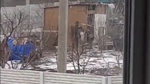 Video fabulos! Strategia de atac a ruşilor a fost deconspirată: cum fură găinile ucrainenilor. Râzi cu lacrimi