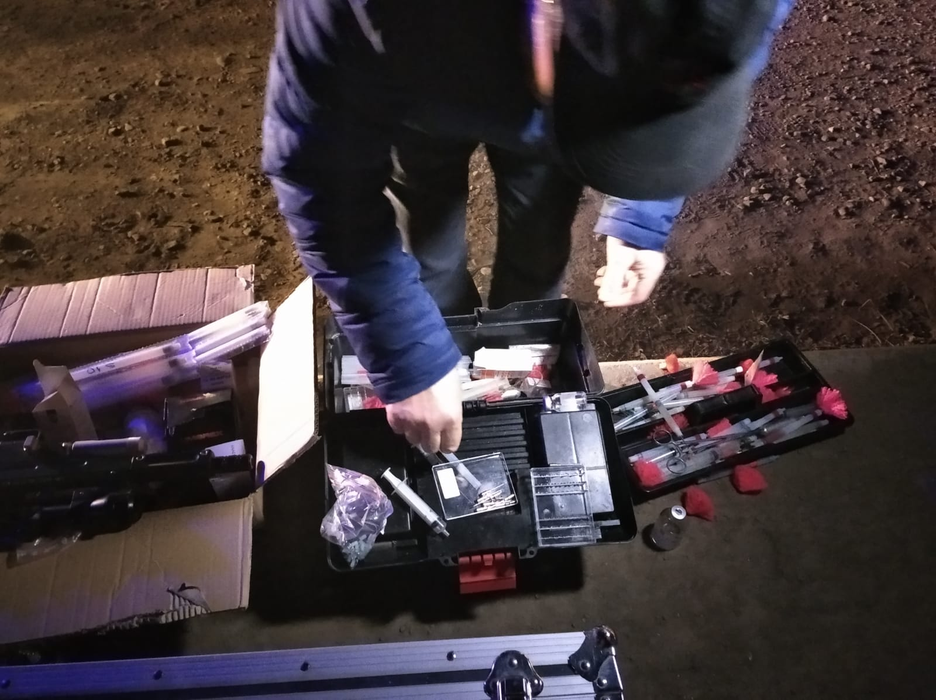 Oamenii au rămas șocați! Au dat nas în nas cu un porc mistreț, într-un hipermarket din Bacău