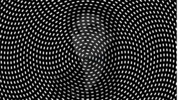 Iluzie optică virală | Identificați marea vedetă ascunsă în această imagine!