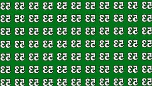 Test de inteligență | Ai IQ-ul lui Einstein dacă găsești numărul inversat '33' în doar 10 secunde