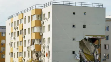 Ce a apărut într-un copac de lângă blocul groazei din Rahova? Trecătorii au fost uimiți