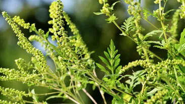 Atenție, este obligatoriu până pe 30 iunie! Se aplică amenzi uriașe pentru nerespectarea legii