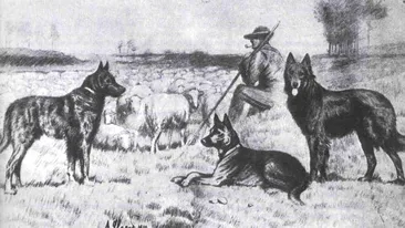 Animale interbelice, ep. 1 – Mircea Vulcănescu și Ion Barbu