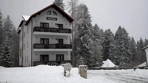 Ce a găsit o familie în vila din Predeal unde s-a cazat. Tatăl a ajuns de urgență la spital: "Putea să aibă o reacție cu sufocare"