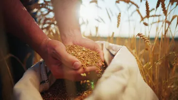 Singura țară din lume care își poate asigura integral hrana necesară din producție proprie. Care este situația României?