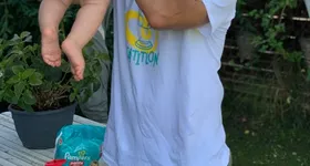 Galerie foto - poza 2