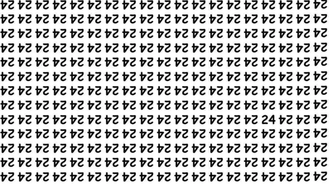 Iluzie optică virală | Doar 1 dintre 100 de oameni poate găsi numărul 24 în maximum 5 secunde