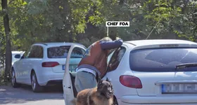 Galerie foto - poza 2