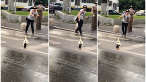 Iulia Albu, detronată! O bucureșteancă a ieșit la plimbare cu rața. VIDEO HAIOS 😆 😂