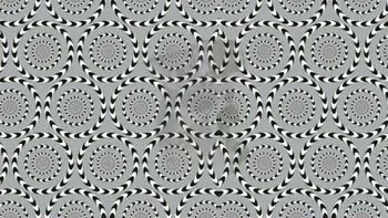 Test de inteligență | Ești un mega-geniu dacă poți numi animalul ascuns în această iluzie optică, în maximum 25 de secunde