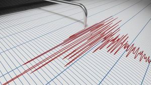 Cutremur în România, în urmă cu scurt timp. Unde s-a resimțit seismul