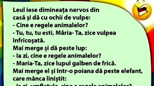 BANC | Leul iese dimineața nervos din casă
