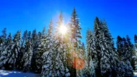 METEO 5 FERUARIE: Ce se intampla cu vremea in urmatoarele ore, in Bucuresti si in restul tarii!