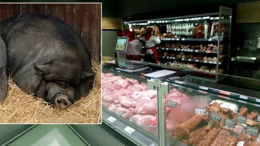 Ultima fiță de Crăciun în România! Câți lei costă un kilogram de carne de porc vietnamez