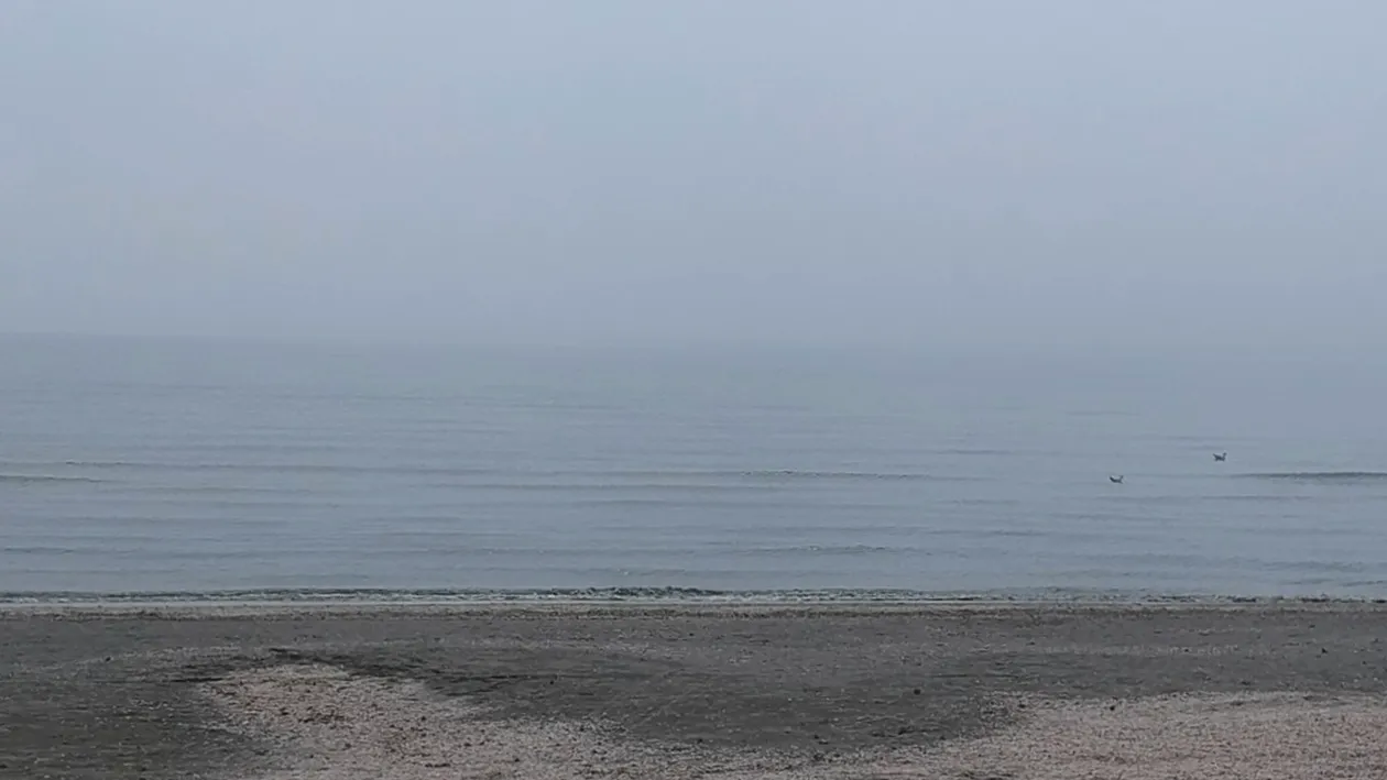 Interzis la plajă, pe malul Mării Negre, după apariţia riscului de holeră! Avertisment de ULTIMA ORĂ