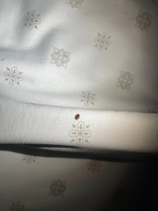 Șocul unei familii de români, după ce s-au cazat la un hotel din Bulgaria. De necrezut ce a pățit copilul lor, lăsat singur în cameră