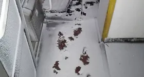 Galerie foto - poza 2