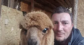 Galerie foto - poza 3