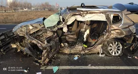 Galerie foto - poza 2