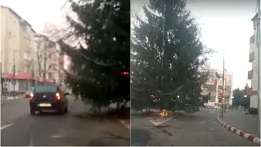 Imaginile zilei | Un brad de Crăciun, înalt de câțiva metri, blochează trecerea pe două benzi